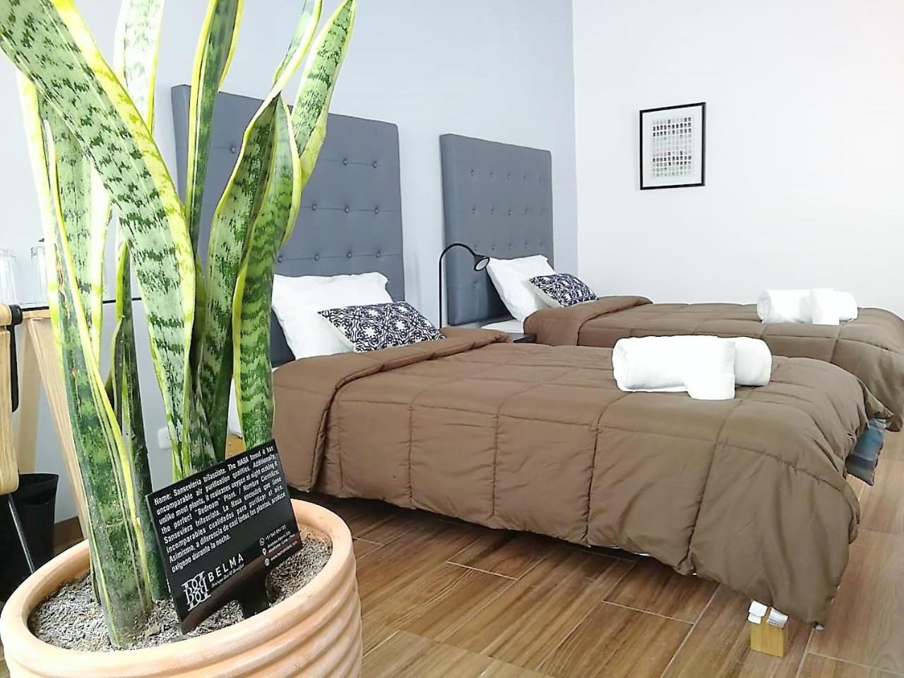 Belma Boutique Bed And Breakfast Λίμα Εξωτερικό φωτογραφία